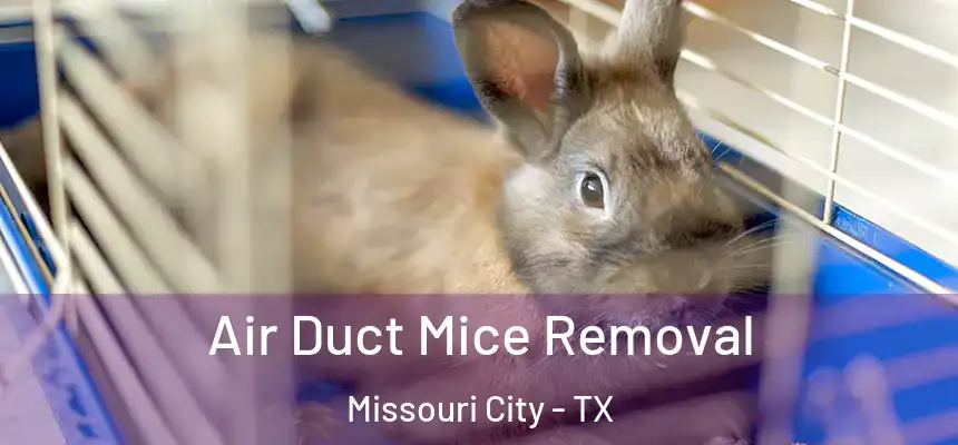 Air Duct Mice Removal Missouri City - TX