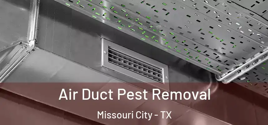Air Duct Pest Removal Missouri City - TX