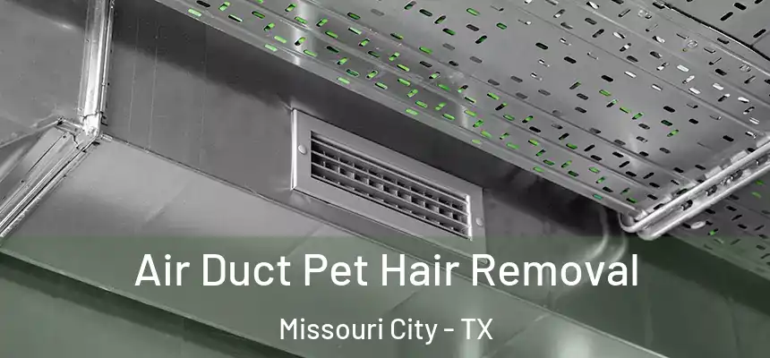Air Duct Pet Hair Removal Missouri City - TX