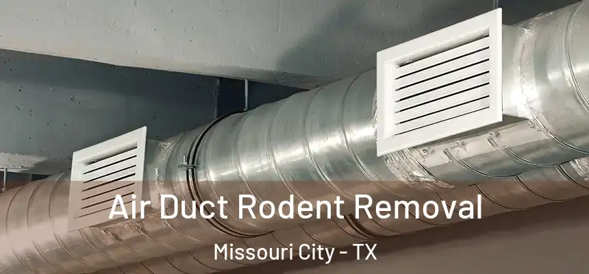 Air Duct Rodent Removal Missouri City - TX