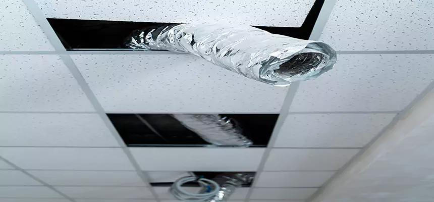 Affordable HVAC Sanitizing After Pest Removal in Missouri City