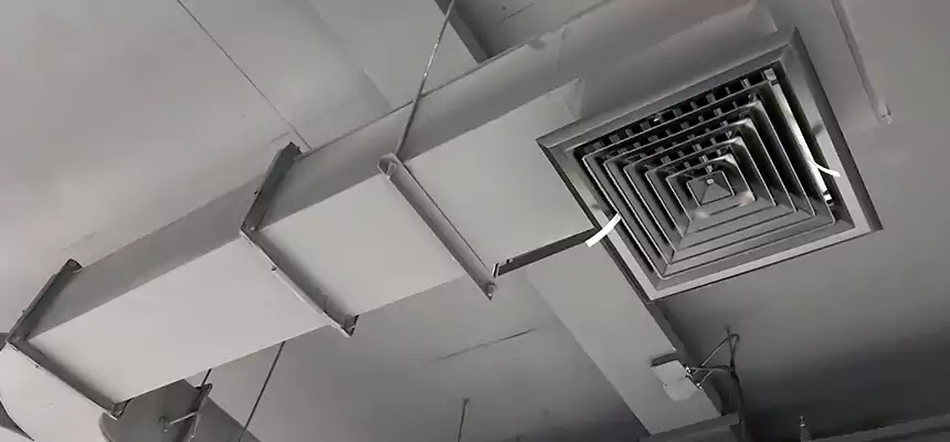 Restorative Allergy Relief Vent Cleaning – Coil, Blower & Housing Detail in Missouri City