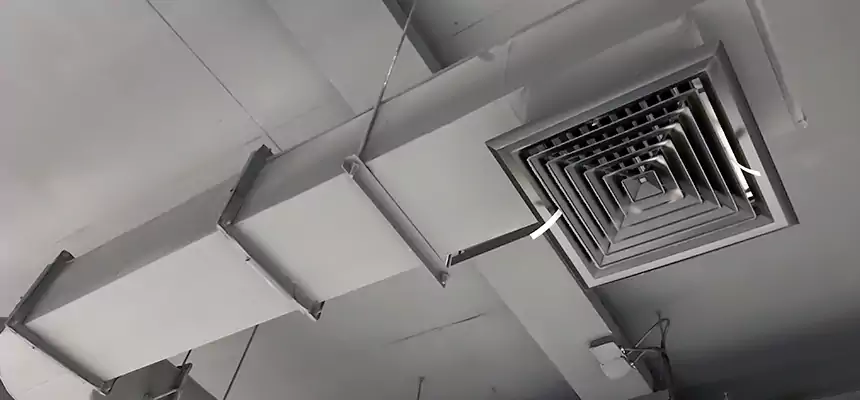 Our Pest Removal From Ducts Services in Missouri City, TX