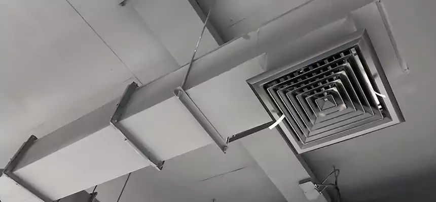 Our Rodent Droppings In Vents Services in Missouri City, TX