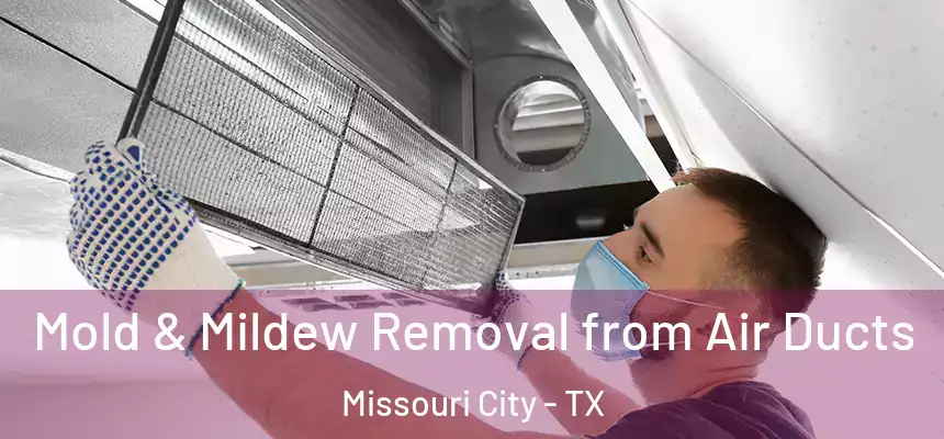 Mold & Mildew Removal from Air Ducts Missouri City - TX