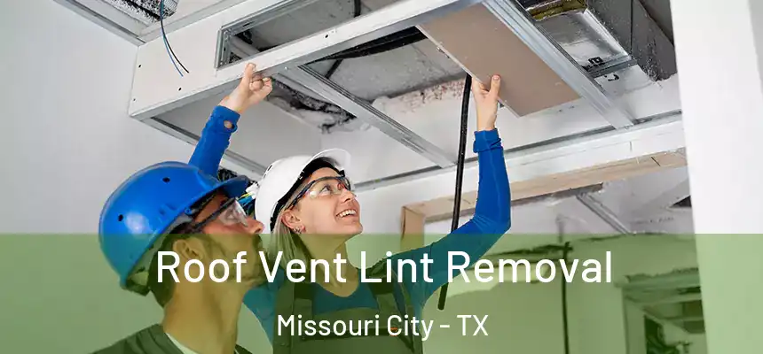 Roof Vent Lint Removal Missouri City - TX