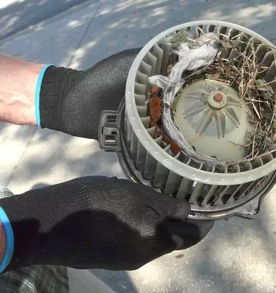 About Air Duct Rat Removal in Missouri City, TX