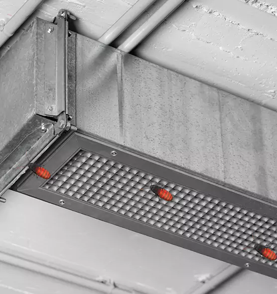 Affordable Insect Removal from Air Ducts in Missouri City, TX