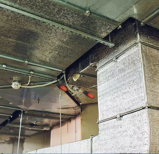 Why Homeowners & Businesses Trust Us in Missouri City, TX?