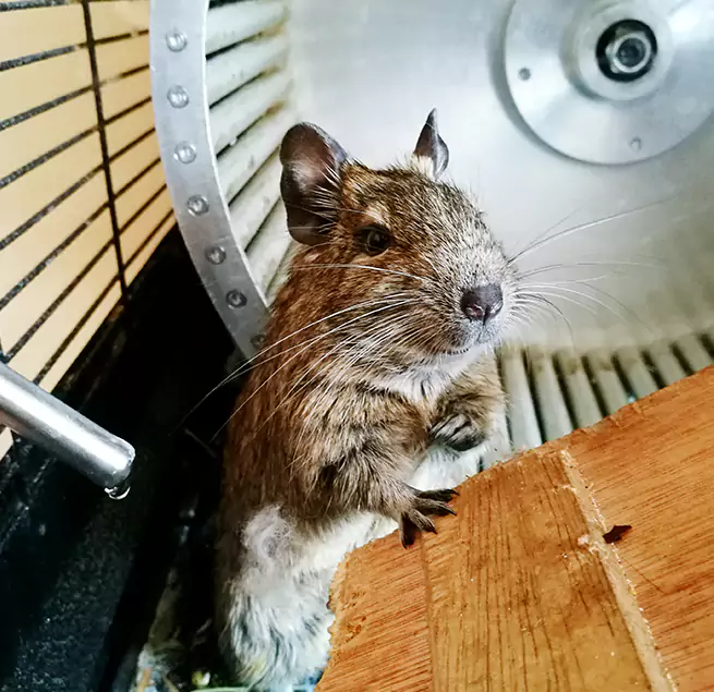 Why Homeowners & Businesses Trust Us Missouri City, TX