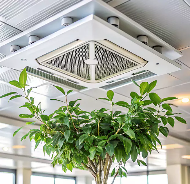 Why Homeowners & Businesses Trust Us in Missouri City, TX?