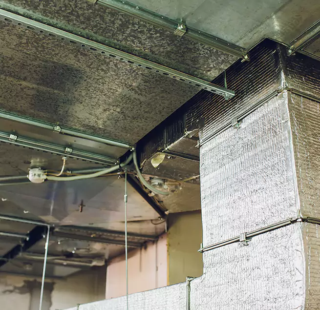 Why Homeowners & Businesses Trust Us in Missouri City, TX?